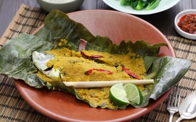 Quand le terroir se réinvente : les produits du futur